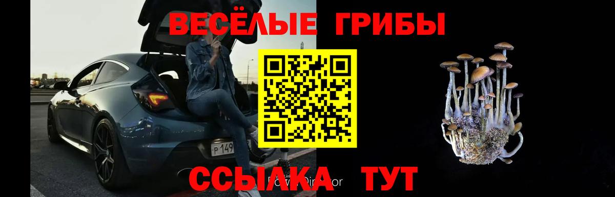 Псилоцибиновые грибы Psilocybe Холмск